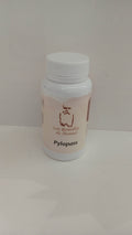 Pylopass