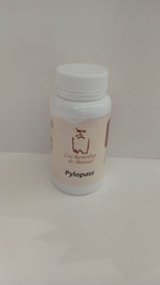 Pylopass