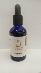 Ulmaria